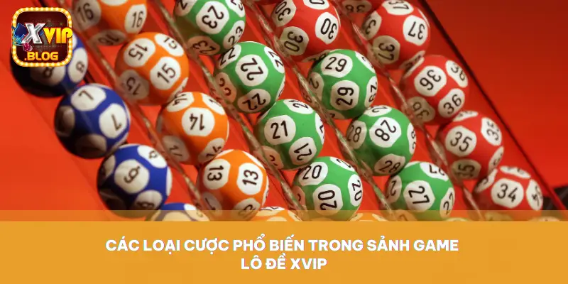 Các loại cược phổ biến trong sảnh game lô đề XVIP